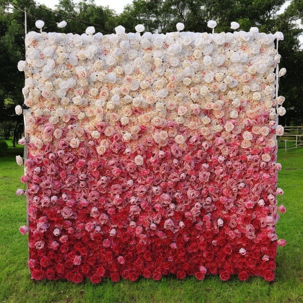 Luxury white to red rose flower wall for event decor
